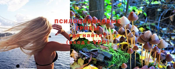 кристаллы Алзамай