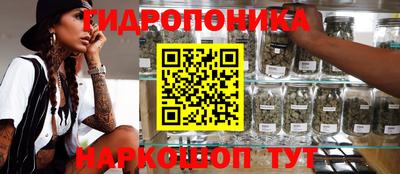 ECSTASY Сланцы