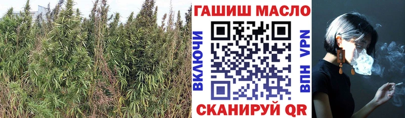 Дистиллят ТГК гашишное масло Ростов-на-Дону
