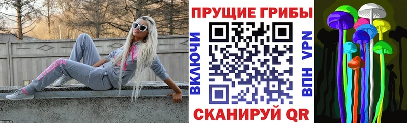 Псилоцибиновые грибы Psilocybine cubensis Ростов-на-Дону