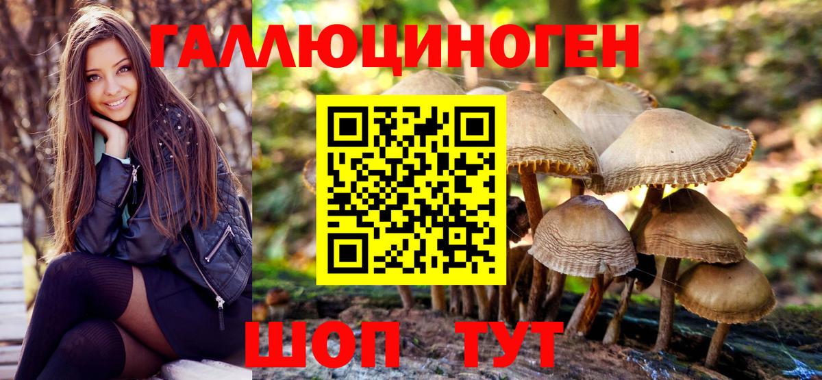 Псилоцибиновые грибы Magic Shrooms Ростов-на-Дону