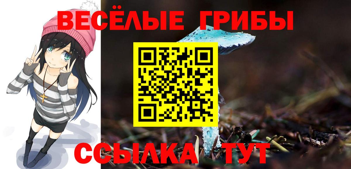 Галлюциногенные грибы ЛСД  Вход с VPN  Ростов-на-Дону 